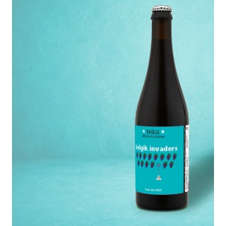 Belgik Invaders 2025