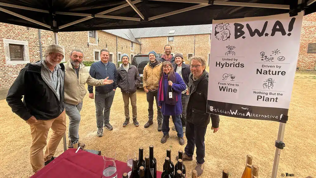 BWA - Belgian Wine Alternative